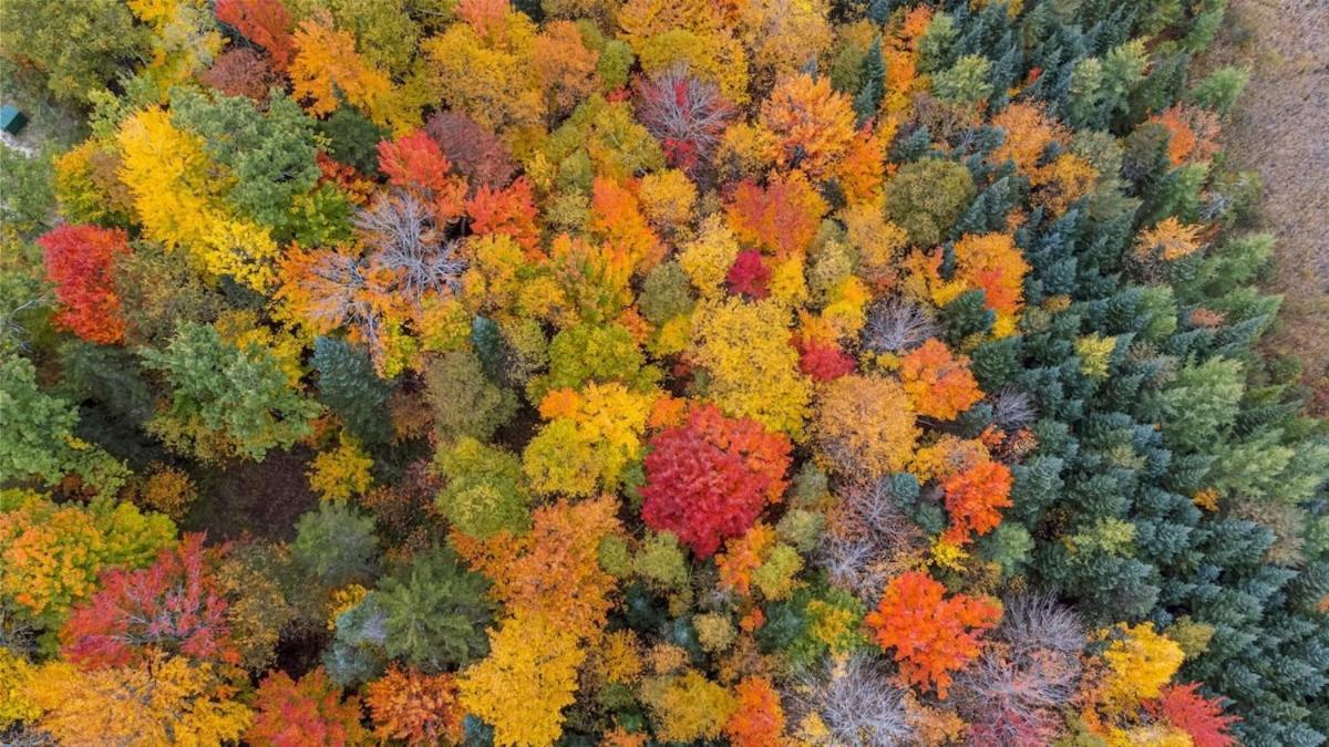 Cheerful Cottage Close To Franconia Notch #4 Carroll 외부 사진